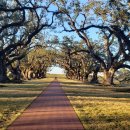 오크앨리 이미지