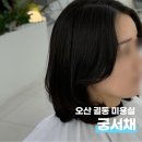 궁서채오산궐동점 | 오산궐동미용실 궁서채에서 레이어드컷 받고 온 후기 (with, 윤미원장님)