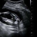 메디렌느산부인과의원 이미지