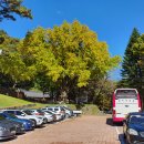 오상회 가을나들이 / 치악산 구룡사,제천 배론성지와 의림지 이미지