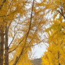 양곡리 공중화장실 이미지