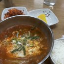 오가네 손칼국수와 수제돈까스 / 육개장 / 제육덮밥 후기