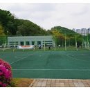 구갈레스피아 게이트볼장 이미지