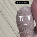 신발왔슈 | 제주국제관광마라톤 풀코스 달리고 왔슈~