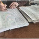 호 타로 이미지