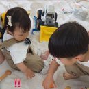 곰소리11