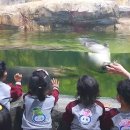 꽃별어린이집 이미지