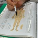 [수원 인계동] 대나무체형교정 수원체형교정 하체관리 솔직후기