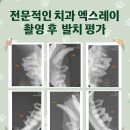 삼송사랑 동물의료센터 이미지