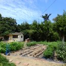 칠곡 경수당 이미지