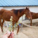 길자농장 이미지