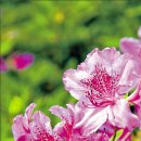 한경대학교부속농장 이미지