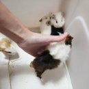 매산리 538 이미지