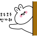 푸른아이웨어 왕조점 이미지