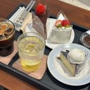 백현중학교 | 분당 정자역 근처 카페 추천 정자동 케이크 디저트 맛집 치쿠사