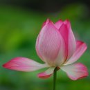 명상(야간) 이미지