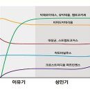 가자크린팜대학약국 이미지
