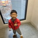 내방 제일 태권도 | 6살 아들 평일 육아일기