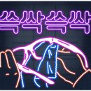 경희대 명문 태권도장 이미지