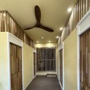 야옹아놀자 순천점 이미지