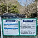 부산 근교 애견동반 가능 오토캠핑장 양산 청수가든캠핑장