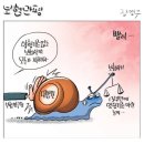 'Netizen 시사만평(時事漫評)떡메' '2024. 08.03'(토) 이미지