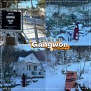 대관령 요들레이펜션 | 강원도 평창여행/키스멧 코티지 숙소 카페/ 설경 인생샷성지 작은유럽/ 삼교리동치미막국수 대관령점 맛집