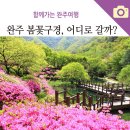 5월3일(화) “금낭화 천국” 대아수목원 & 오스갤러리 이미지