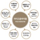 시원마이크로 이미지
