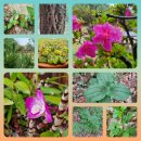 양재김경호한의원 이미지