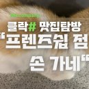 손가네식당 이미지