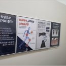 네일베어