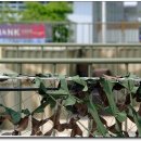 밀리터리테마파크 이미지