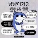 줄줄이김밥 - 안양시 만안구 장내로 85 | 줄줄이김밥