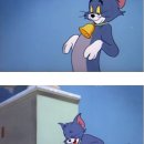 톰과 제리 이미지