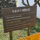 미소농장 | [제주] 송아지 우유 주기 체험?!🐄 아침미소농장 &amp; 카페 내돈내산 찐후기 (아이랑 가기 딱임)