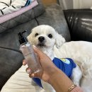 (주)메가덴탈 이미지