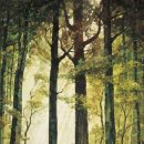 리섬 | 가장 귀한 선물