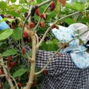 오디하우스 이미지