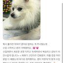 하남 영어회화학원 - 위드글로리아 개인 수업 소개