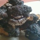 골짜구니농장1 이미지