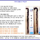 100세 노인 인구와 청려장(靑藜杖) 이미지