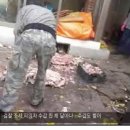 일건농장 이미지