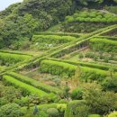 외도보타니아 이미지