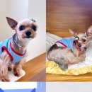 아이멍그라운드 이미지