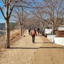 갈맷길(8코스) 이미지