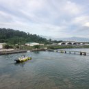 세레나몰 | 코스타 세레나호 8편 : 수빅항 하선 실전 꿀팁! (필리핀 수빅여행 &amp; 수빅 교통수단)