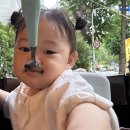 신삼국지 | (2025.10.10. 금요일) 삼국지 연희 후기