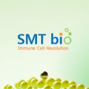 에스엠티(SMT) 대한