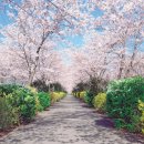 창가(한국SGI) 이미지